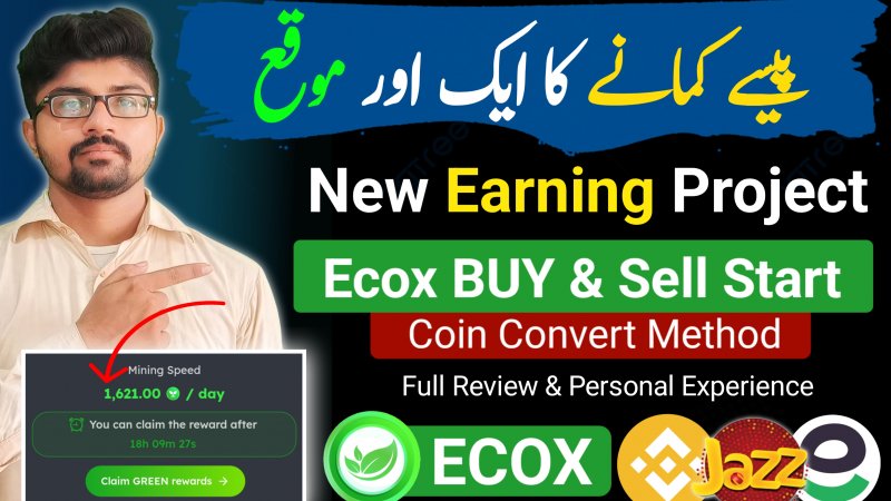 Online Earning in Pakistan without investment
